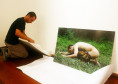 Rodrigo Braga (Manaus/AM, 1976) - Comunhão II, 2006, fotografia (lambda print), 66x100cm