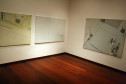 Rafael Carneiro (São Paulo/SP, 1985) - Sem título, 2006/2007, óleo sobre tela, 200x130cm cada