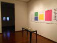 Na 65ª edição do Salão Paranaense foram selecionados 25 artistas para exporem suas obras durante a mostra, considerada um dos principais eventos de artes plásticas do país. A exposição foi realizada de 12 de novembro de 2014 a 29 de março de 2015, no Museu de Arte Contemporânea (MAC).