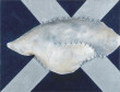 Marcello Nitsche (São Paulo, SP, 1942)  Costura da nuvem, 1973, colagem de tecido, linha e tinta acrílica sobre tela
49,8 x 64,9 cm, doação do artista, 1975
