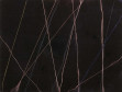 Karina Marques (Castro, PR, 1969)  Nanofio, 1999, 
veludo, talco e elástico sobre aglomerado de madeira, 
40 x 30 cm, Prêmio 56º Salão Paranaense

