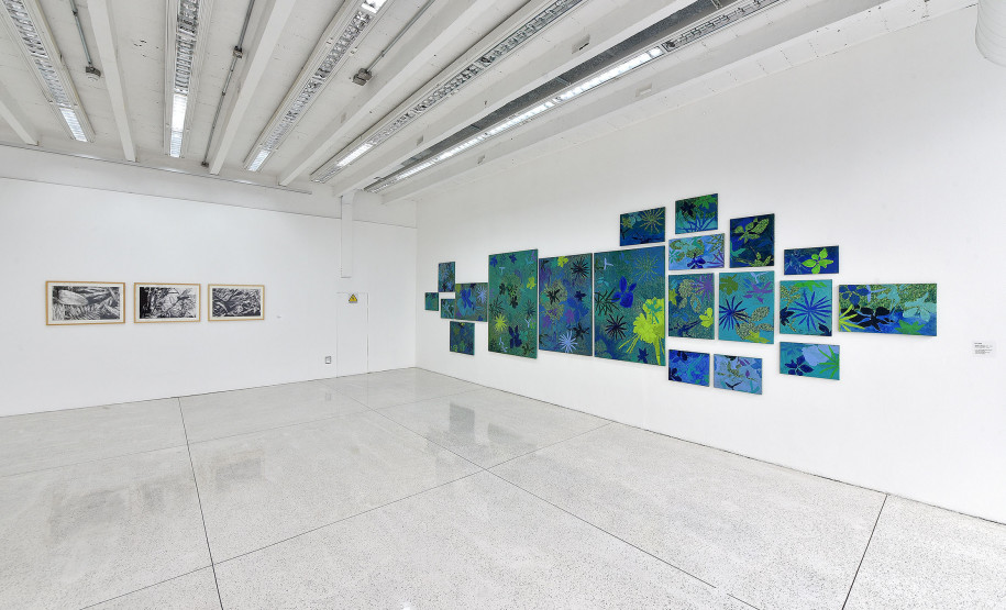 fotos exposição Dulce Osinski