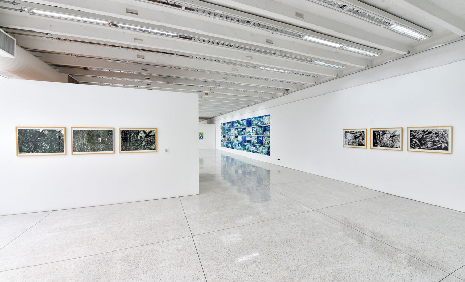 fotos exposição Dulce Osinski