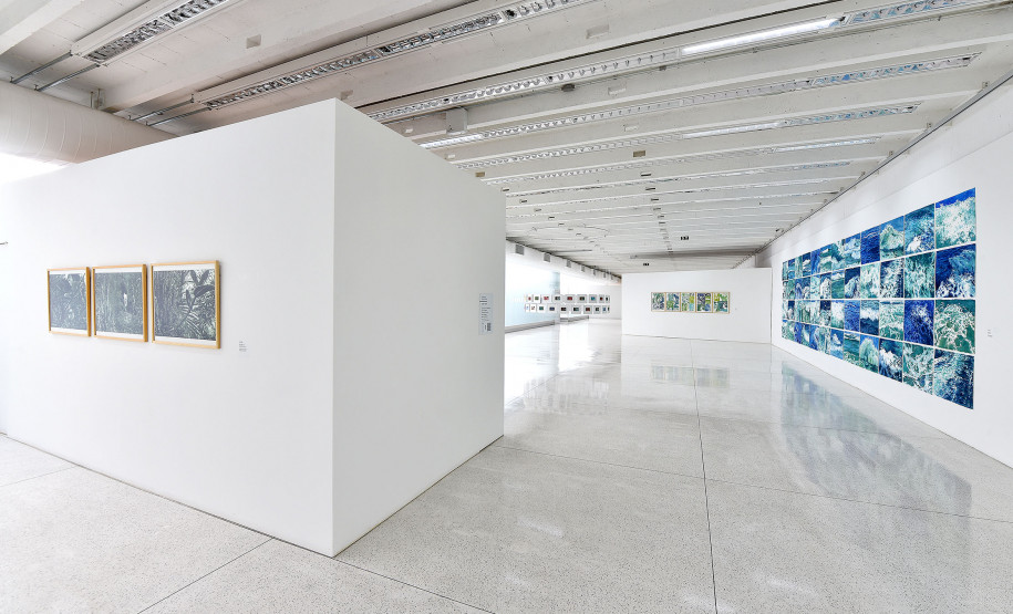 fotos exposição Dulce Osinski