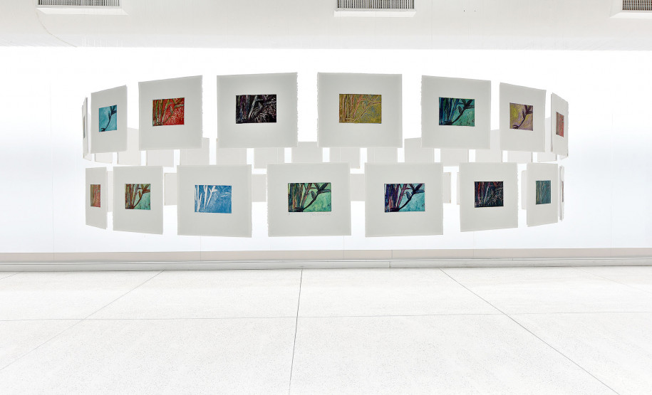 fotos exposição Dulce Osinski