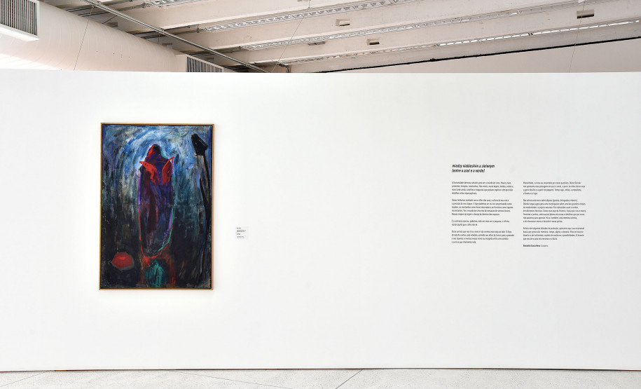 fotos exposição Dulce Osinski