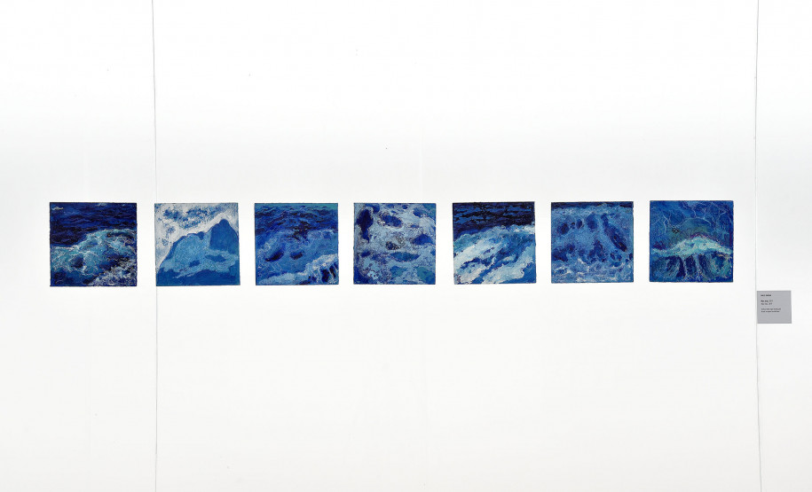 fotos exposição Dulce Osinski