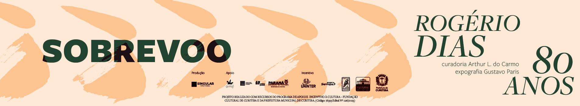 Nova exposição do MAC Paraná celebra os 80 anos do artista Rogério Dias