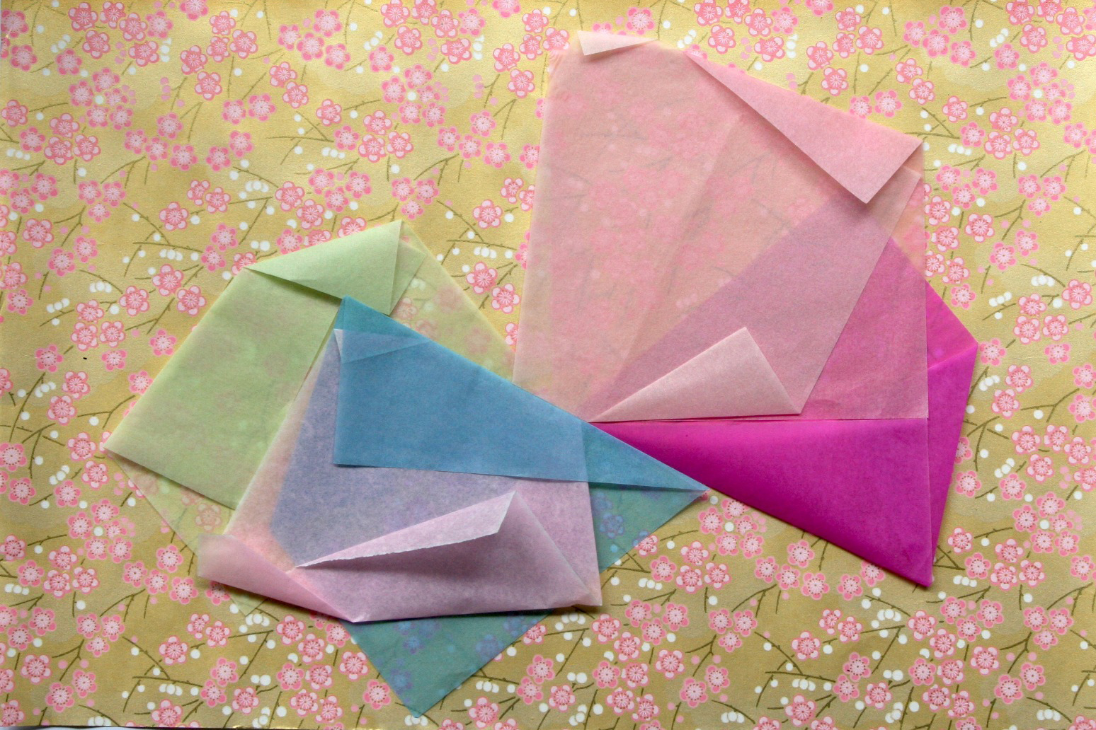 Agenda de julho do MAC Paraná tem ações educativas, oficinas, visitas guiadas e mediações