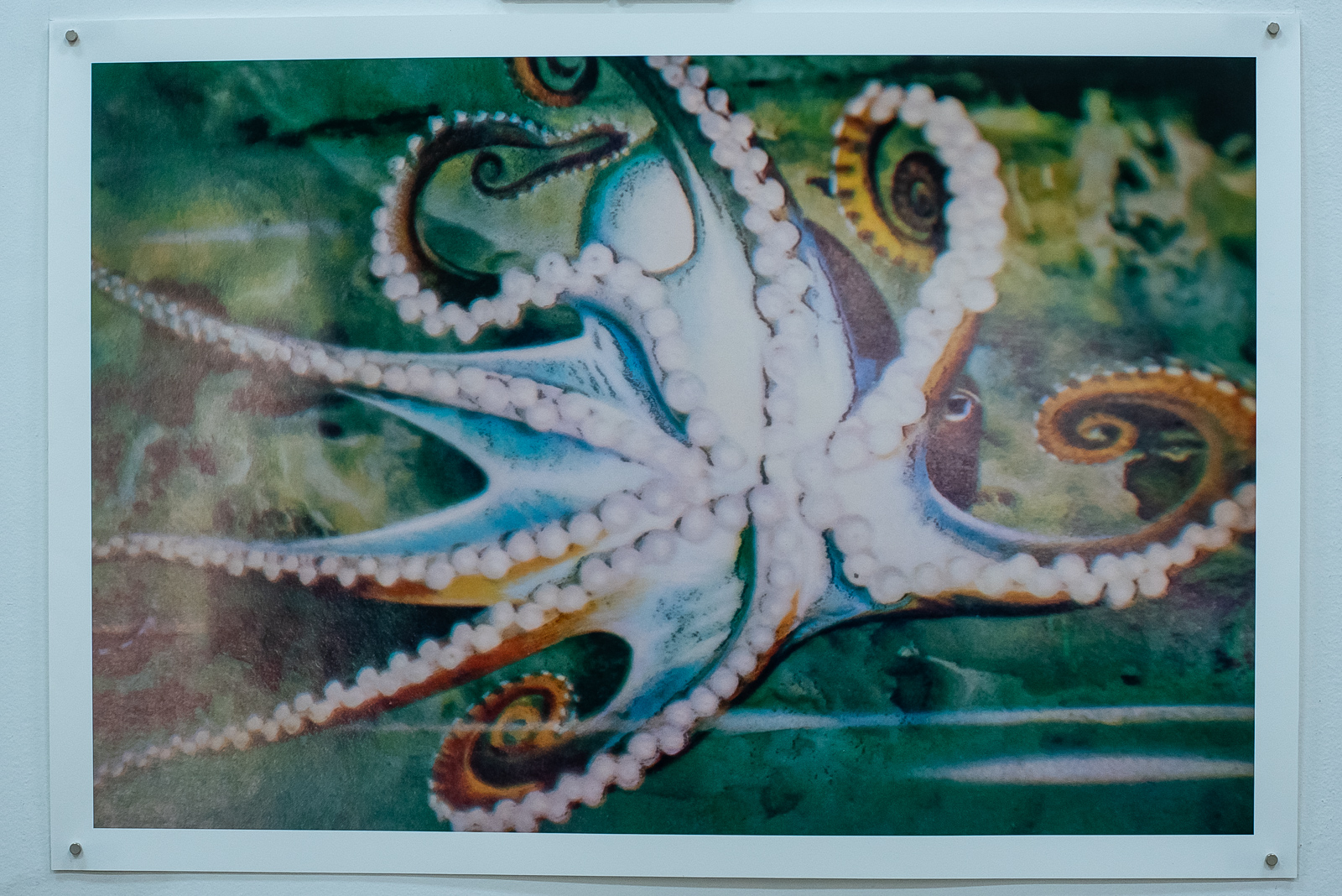 obras tudo bem bombom_foto-_kraw_penas-seec.jpg