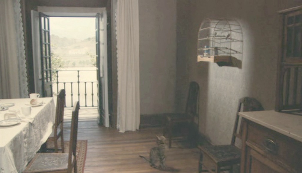 Prêmio Aquisição
Aline Dias
Pássaro
Vídeo