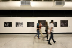 Exposição MAC