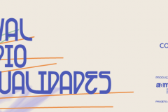 Festival de Audiovisualidades