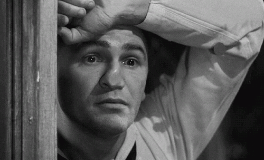 Da janela de casa é a nova newsletter do MAC-PR