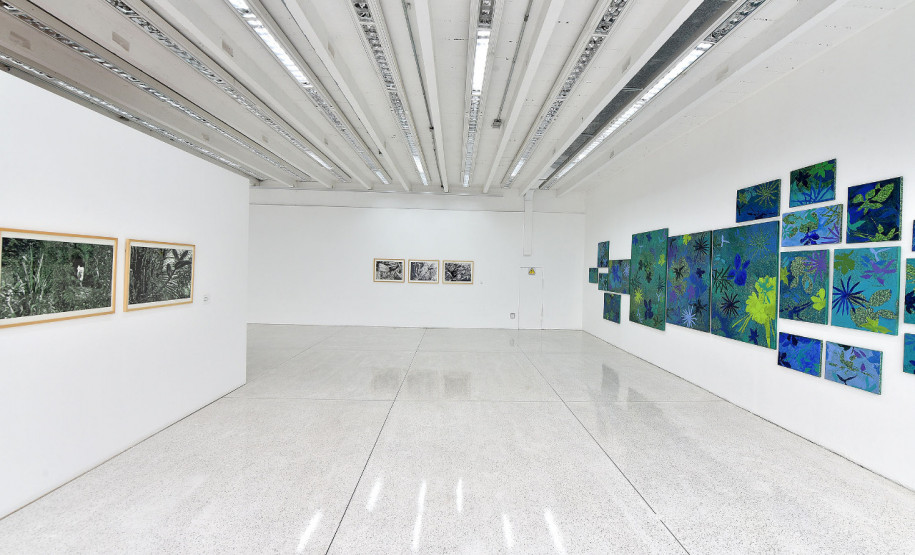 Exposição Dulce Osinski