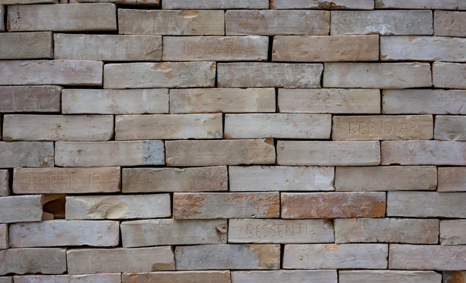 davi cavalcante do que são feitos os muros