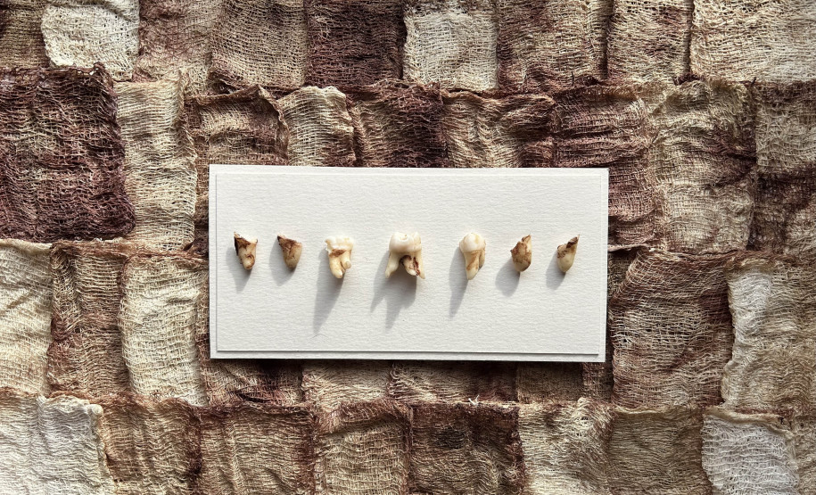 Museu de Arte Contemporânea do Paraná promove nova série de oficinas gratuitas