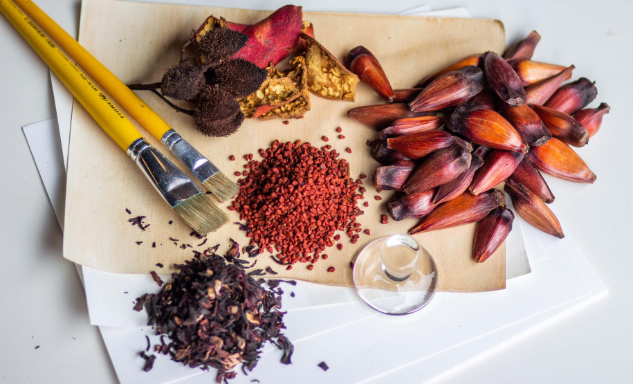 MAC-PR promove oficina sobre criação de pigmentos naturais com plantas nativas