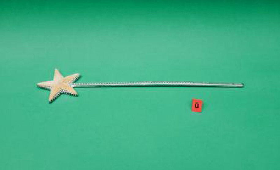 Agenda de julho do MAC Paraná tem ações educativas, oficinas, visitas guiadas e mediações