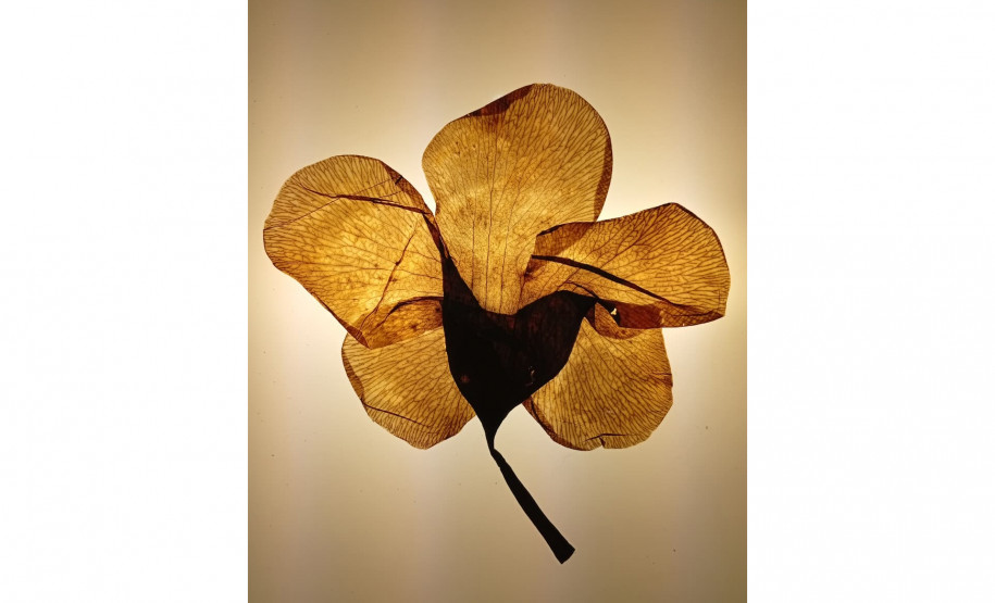 Mostra "Costa Oeste" reúne artistas do Paraná e Argentina em um olhar sobre a fronteira