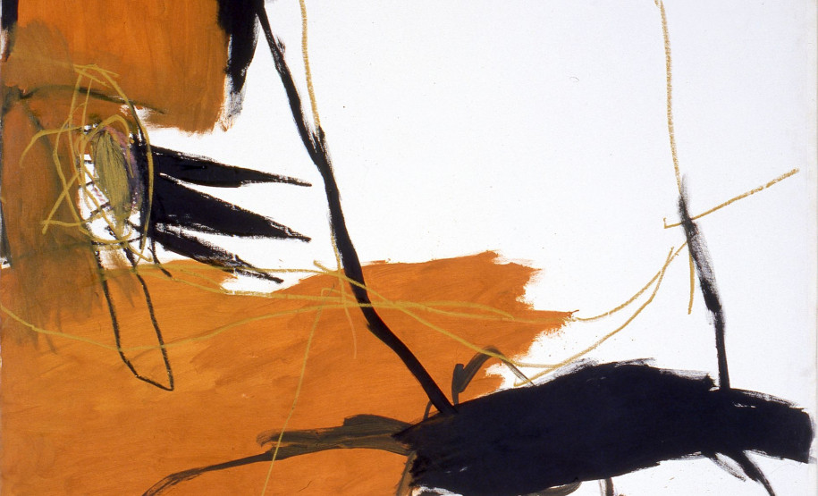 Mostra do MAC-PR em Maringá reúne obras do acervo do museu, com curadoria de Luiz Brugnera.