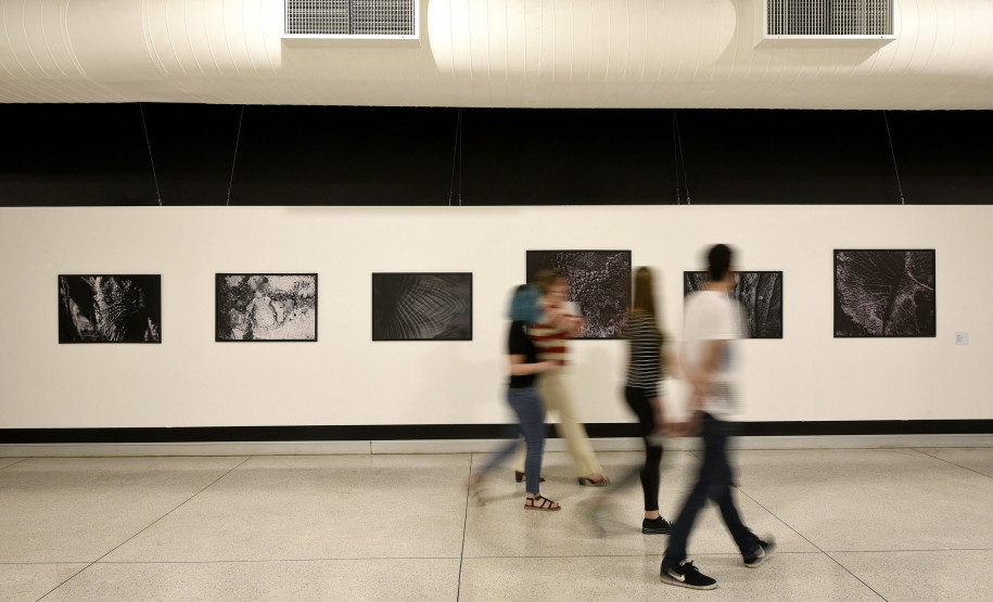 Atividades pela mostra "Ero Ere: negras conexões" estão na programação da Permanência MAC-PR de setembro